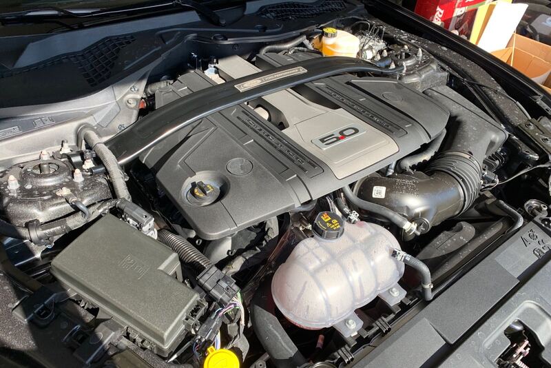 Ford Mustang 5.0 Coyote V8 engine bay with the hood open (earlier Mustang generation)